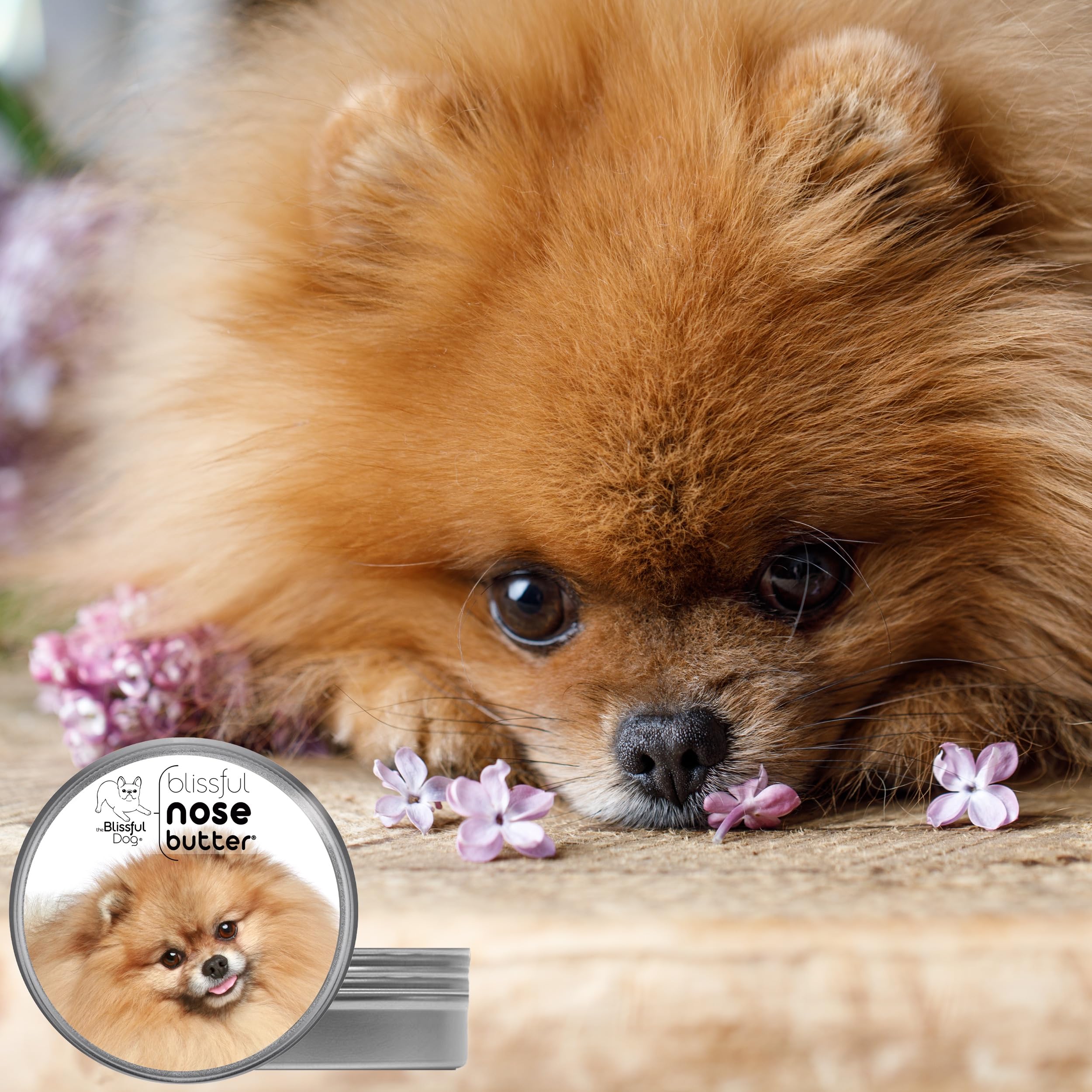 The Blissful Dog Pomeranian Unscented Nose Butter - Dog Nose Butter, 8 Ounce